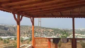 Kamelya, Çatı